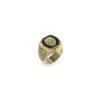 Guess Bijoux Bague Lion King Acier Doré Forme Chevalière Et Tête De Lion Sur Fond Noir Gm | Homme Bague