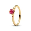 Pandora Bague Explosion d'Amour | Femme Bague
