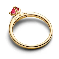Pandora Bague Explosion d'Amour | Femme Bague