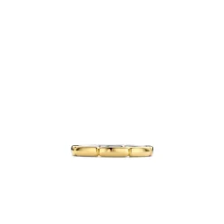 Ti Sento Bague femme 12269SY - Argent, plaqué or | Femme Bague