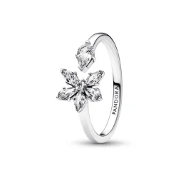 Pandora Bague Timeless - Ouverte Herbier Scintillant | Femme Bague