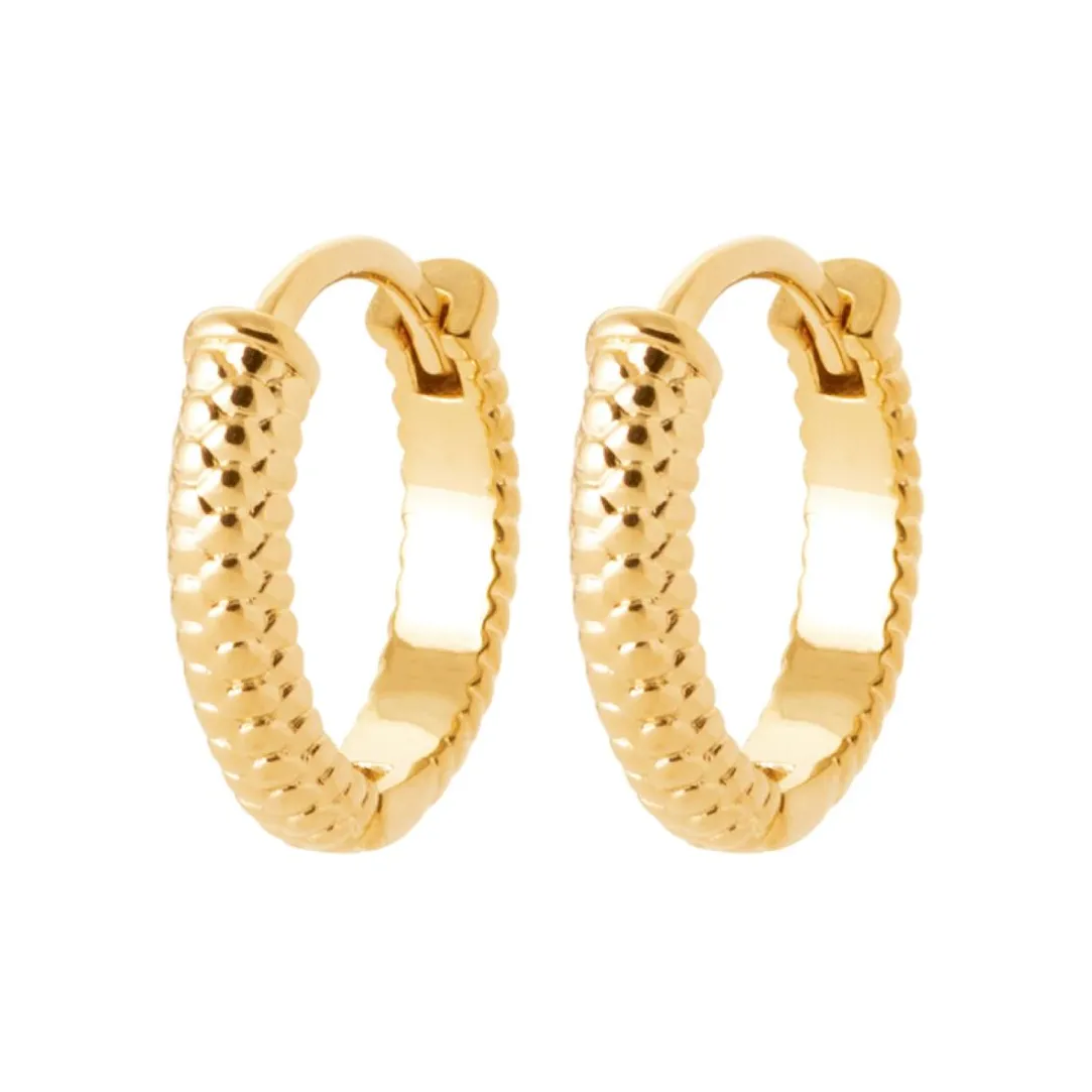 Maison de la Bijouterie Boucles d'oreilles créoles plaqué or fantaisie 12mm Y653400 | Femme Boucles D'Oreilles