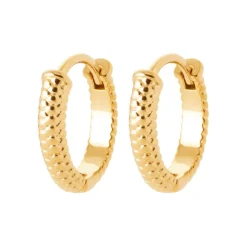 Maison de la Bijouterie Boucles d'oreilles créoles plaqué or fantaisie 12mm Y653400 | Femme Boucles D'Oreilles