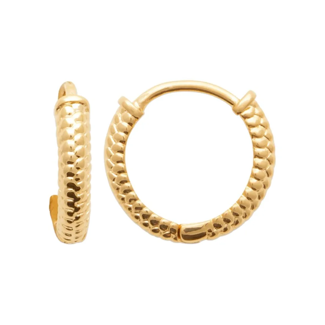 Maison de la Bijouterie Boucles d'oreilles créoles plaqué or fantaisie 12mm Y653400 | Femme Boucles D'Oreilles