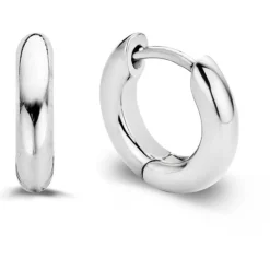 Ti Sento Boucles d'oreille Silver 7210SI | Femme Boucles D'Oreilles