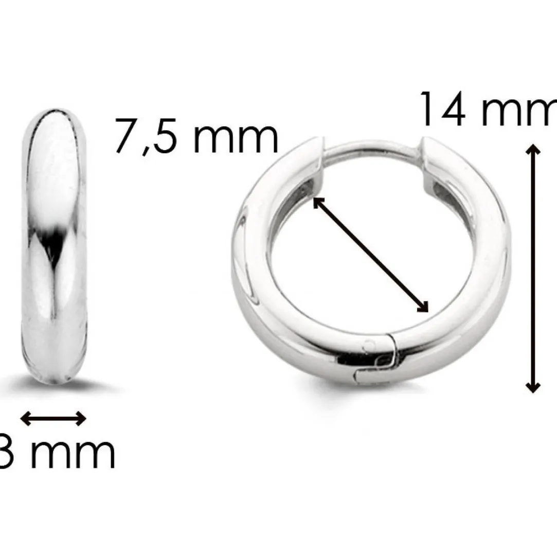 Ti Sento Boucles d'oreille Silver 7210SI | Femme Boucles D'Oreilles