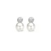Ti Sento Boucles d'oreilles 7590PW - Femme | Femme Boucles D'Oreilles