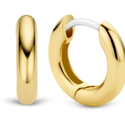 Ti Sento Boucles d'oreilles 7210SY - Boucles d'oreilles Argent Dorées Circulaires | Femme Boucles D'Oreilles