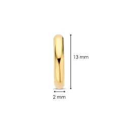 Ti Sento Boucles D'Oreilles - 7812YS Argent Doré Anneaux | Femme Boucles D'Oreilles