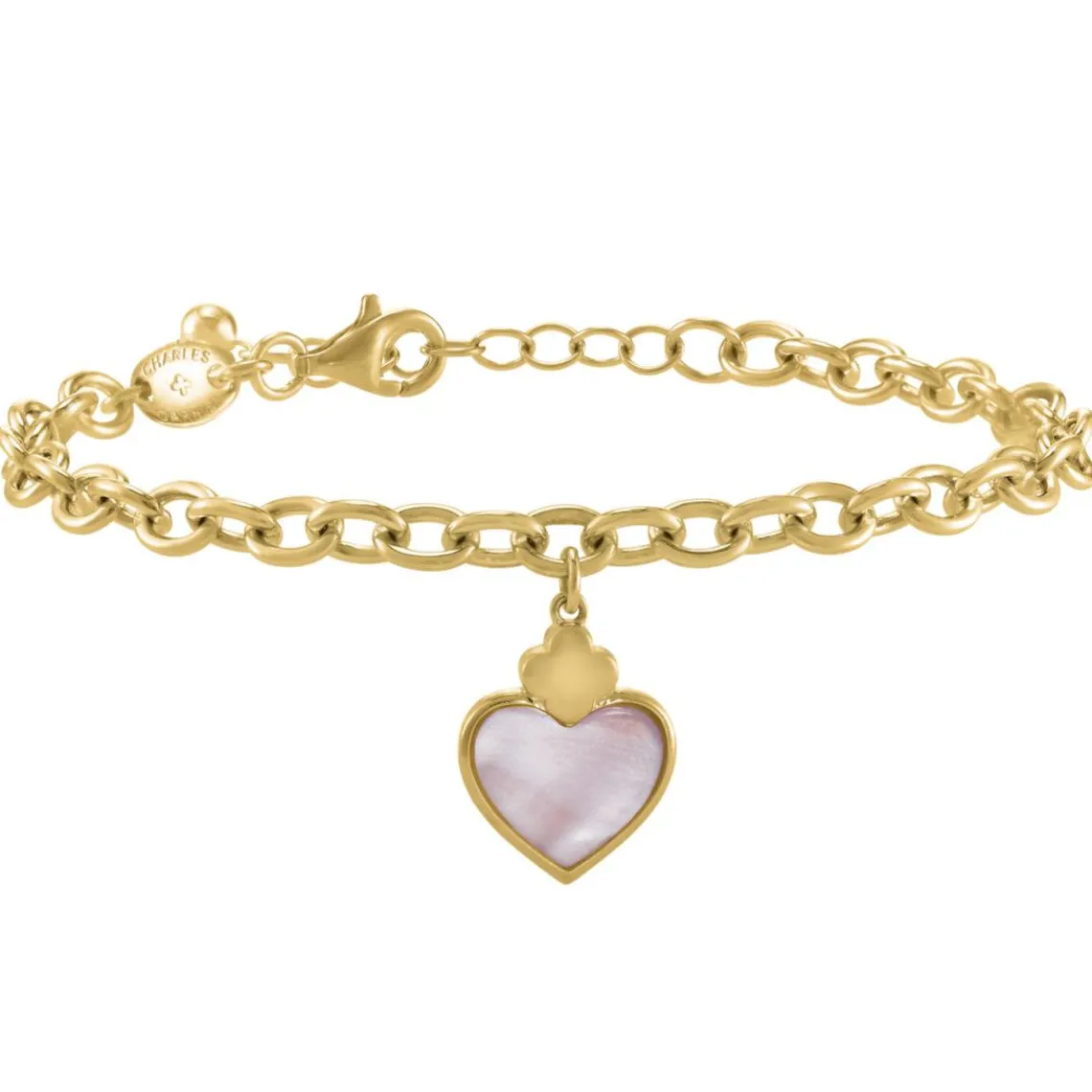 Charles Garnier Bijoux Bracelet Femme Passion - AGF170165B Argent | Femme Bracelet
