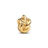 Pandora Charm Nœud de l'Infini | Femme Charms