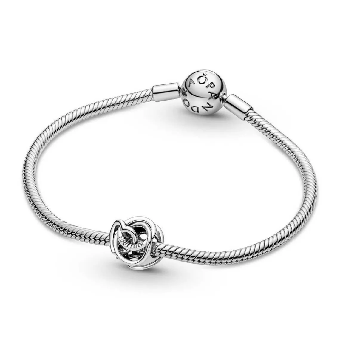 Pandora Charm Moments - Cœur et Cercles Ma Famille pour Toujours | Femme Charms