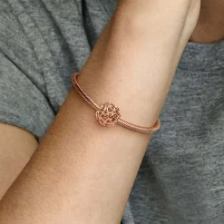 Pandora Charm Moments Parsemé de Cœurs | Femme Charms