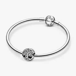 Pandora Charm Moments Racines Familiales Ajouré | Femme Charms