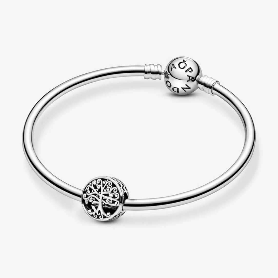 Pandora Charm Moments Racines Familiales Ajouré | Femme Charms