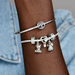 Pandora Charm Moments Racines Familiales Ajouré | Femme Charms