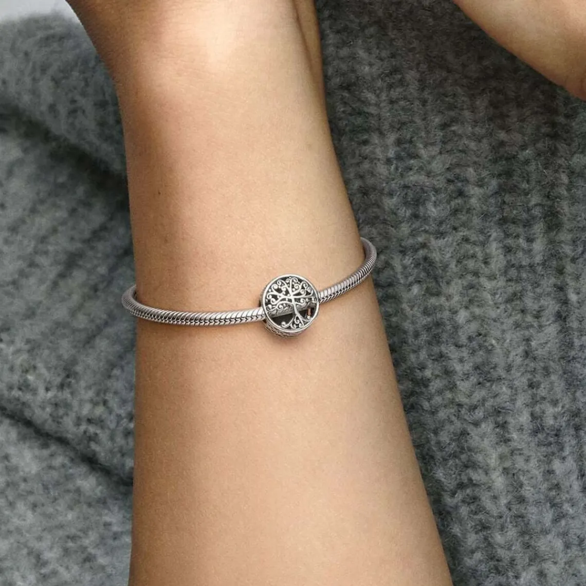 Pandora Charm Moments Racines Familiales Ajouré | Femme Charms