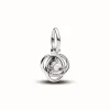 Pandora Charm Pendant Cercles de l’Éternité Incolore | Femme Charms