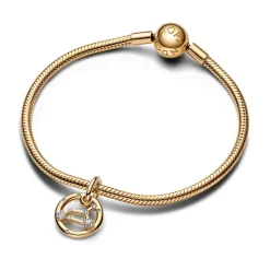 Pandora Charm Pendant Signe du Lion | Femme Charms
