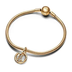 Pandora Charm Pendant Signe du Verseau | Femme Charms