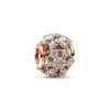 Pandora Charm Rond Herbier Scintillant – Timeless | Femme Charms