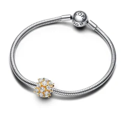 Pandora Charm Rond Scintillant | Femme Charms