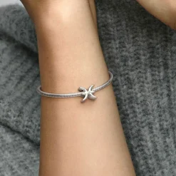 Pandora Charm Zodiaque Poisson Signe Astrologique | Femme Charms