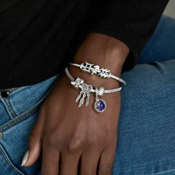 Pandora Charm Zodiaque Sagittaire Signe Astrologique | Femme Charms