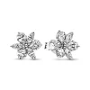 Pandora Clous d’Oreilles Timeless - Herbier Scintillant | Femme Boucles D'Oreilles
