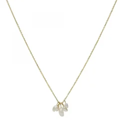 Fossil Bijoux Collier femme DREW - JF03809710 Acier Doré | Femme Collier Et Pendentif