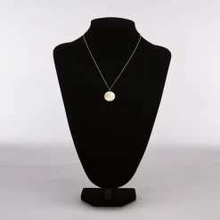Fossil Bijoux Collier Femme Signes du Zodiaque Lion - JF04842710 Acier inoxydable | Femme Collier Et Pendentif