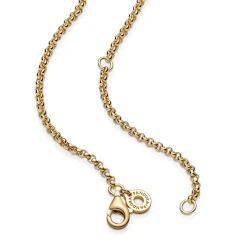 Pandora Collier Femme Moments Chaîne Maille Jaseron | Femme Collier Et Pendentif