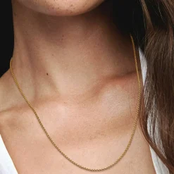 Pandora Collier Femme Moments Chaîne Maille Jaseron | Femme Collier Et Pendentif