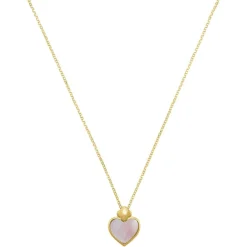 Charles Garnier Bijoux Collier Femme Passion - AGF170164N Argent | Femme Collier Et Pendentif