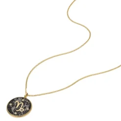 Fossil Bijoux Collier Femme Signes du Zodiaque Capricorne - JF04847710 Acier inoxydable | Femme Collier Et Pendentif