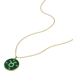 Fossil Bijoux Collier Femme Signes du Zodiaque Taureau - JF04839710 Acier inoxydable | Femme Collier Et Pendentif