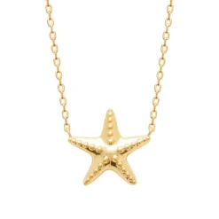 Maison de la Bijouterie Collier femme pendentif étoile plaqué or UYY0Z445 | Femme Collier Et Pendentif