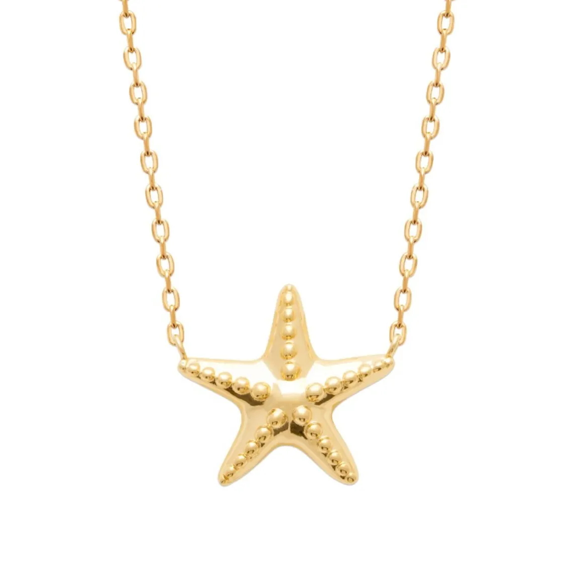 Maison de la Bijouterie Collier femme pendentif étoile plaqué or UYY0Z445 | Femme Collier Et Pendentif