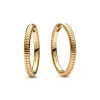 Pandora Créoles Porte-Charms Moments | Femme Boucles D'Oreilles
