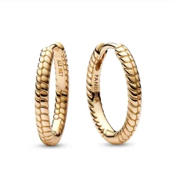 Pandora Petites Créoles à Charms Moments | Femme Boucles D'Oreilles