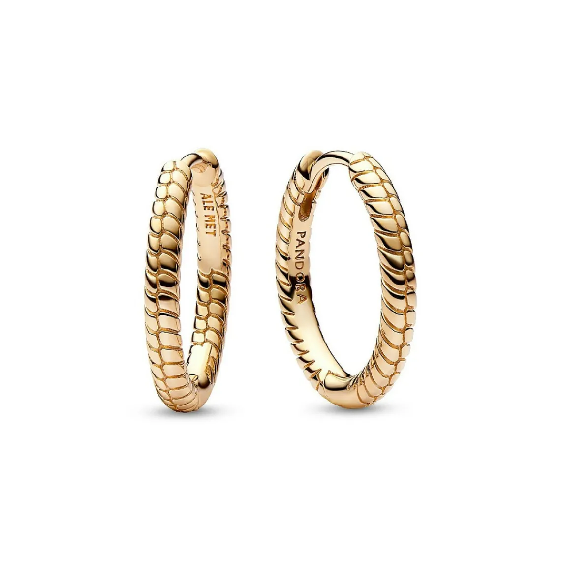 Pandora Petites Créoles à Charms Moments | Femme Boucles D'Oreilles